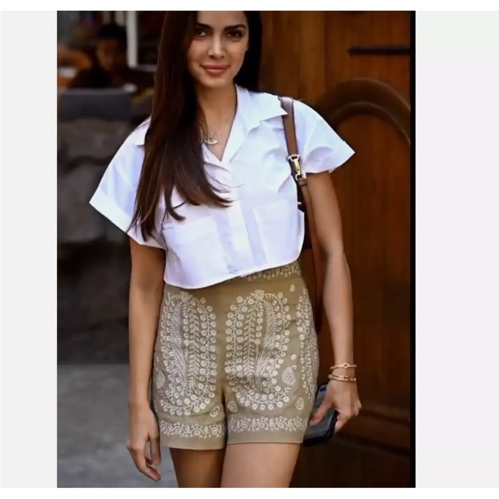 ZARA WOMAN TAUPE BROWN High waisted EMBROIDERED SHORTS  2731/280 NWT
